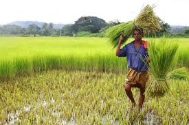 PM Kisan Yojana