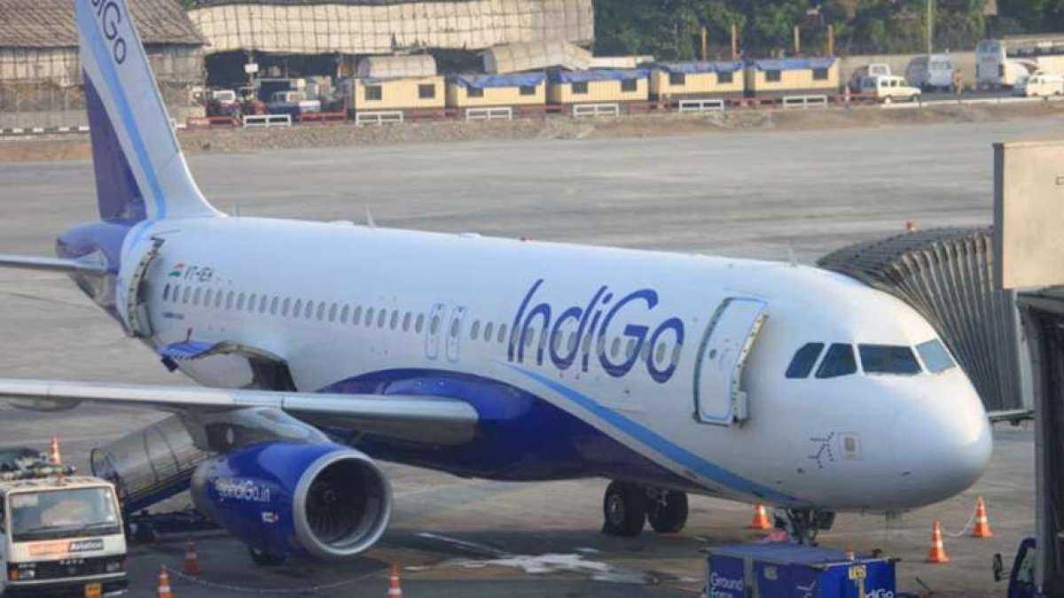 indigo flight