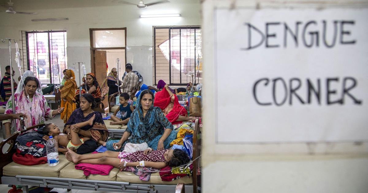 Bangladesh may be headed into another deadly dengue season – unprepared