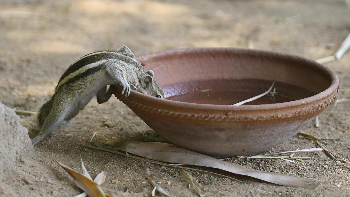 Hyderabad 2026 summer temperature tracker | Maximum temperature 42°C on April 17