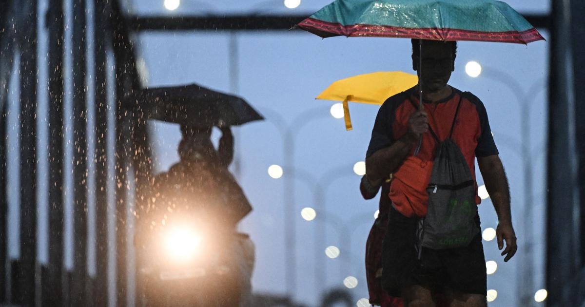Mumbai rains: One killed after tree falls on shop; city on red alert