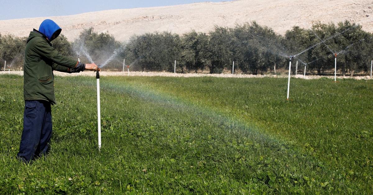 Agrivoltaics could feed energy-hungry AI and the world