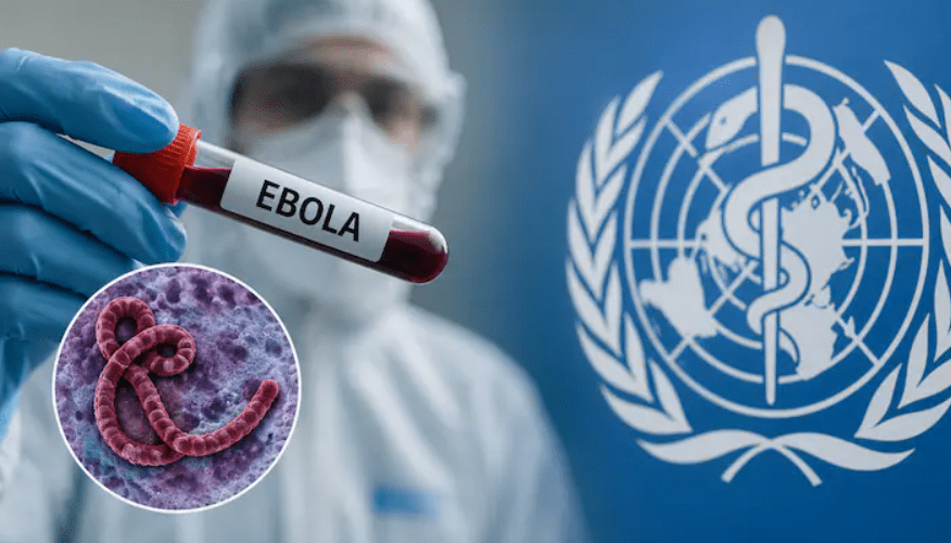 Maharashtra Health Department on Alert After Uganda Returnee Arrives in Nagpur Amid Ebola Concerns