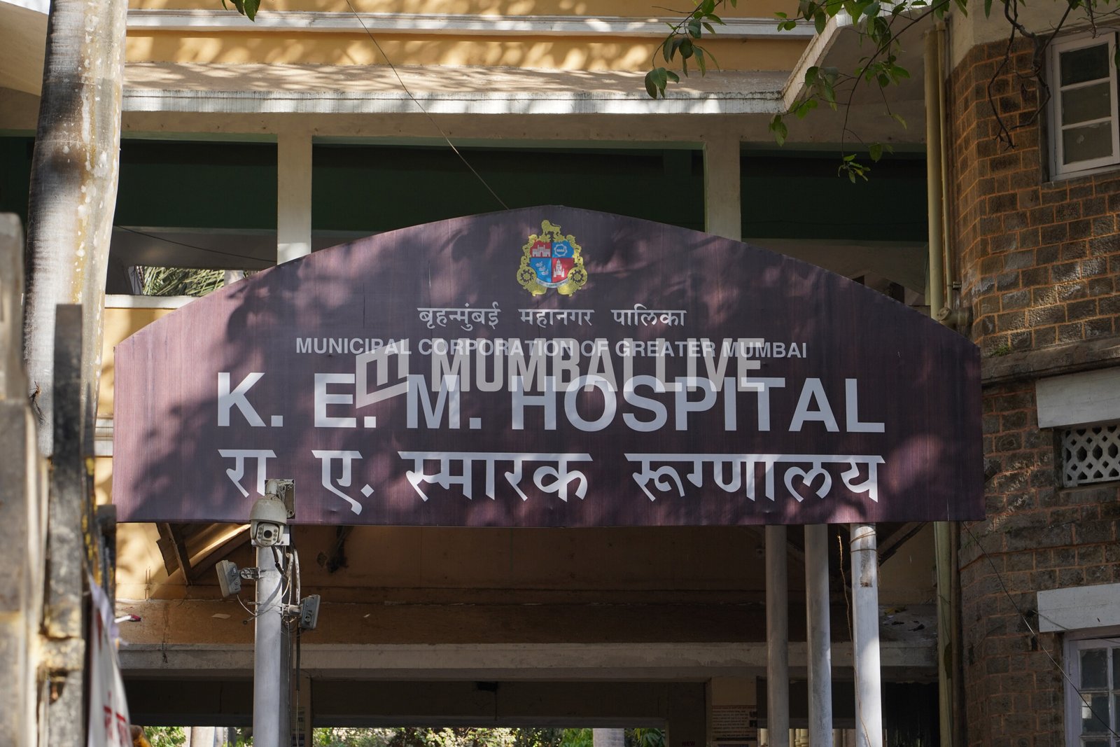 Mumbai: Deputy Mayor Assures Action After Nurse Assault at KEM Hospital