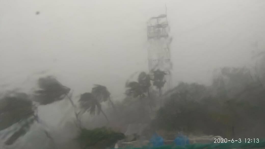 Mumbai Rains: BMC Urges Residents to Stay Away From Trees After 113 Collapse Incidents