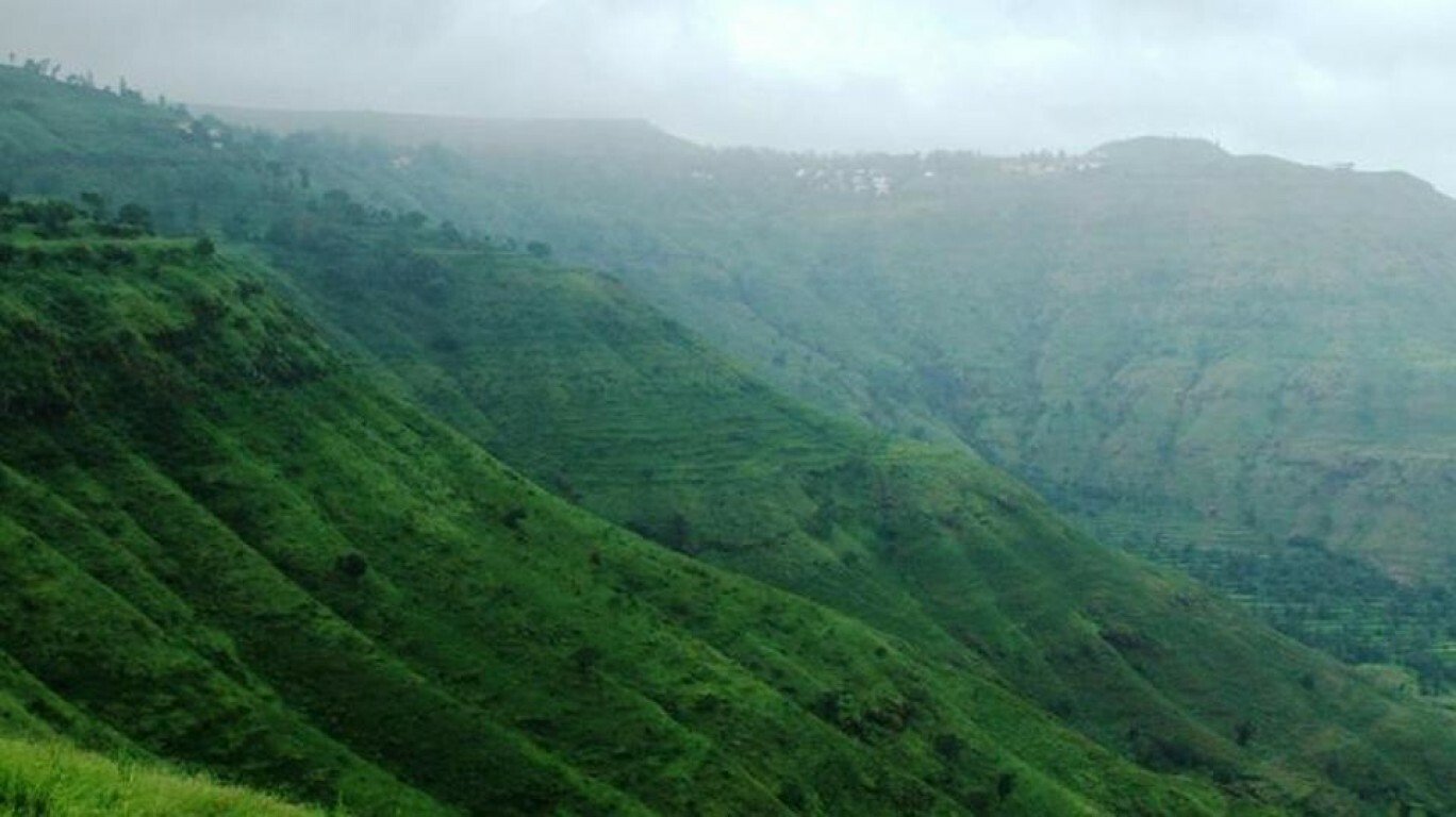 State Explores Green Bonds for Forest Conservation Funding