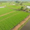 Villages spared as rural registrations see modest hike in Telangana