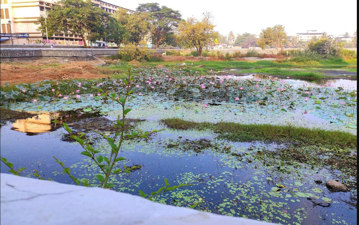 Panvel Sets an Example in Urban Lake Conservation with Eco-Friendly Weed Control at Vadale Lake