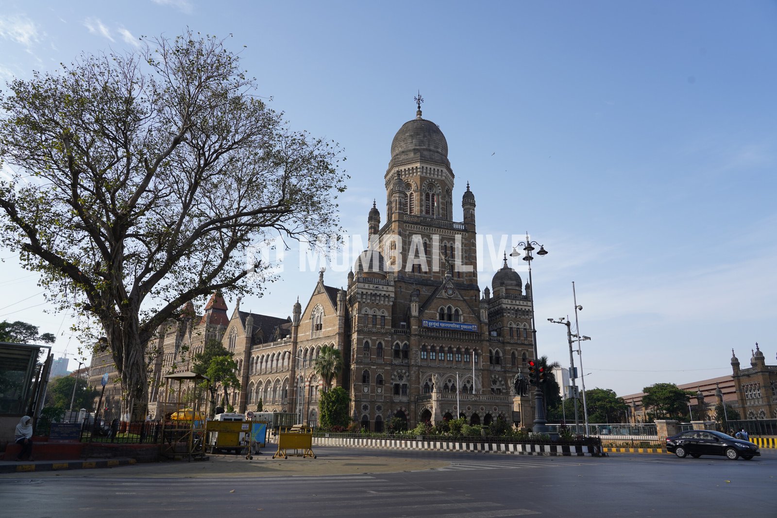 BMC Clears Tree-Cutting and Transplantation Proposals for Versova-Dahisar Coastal Road