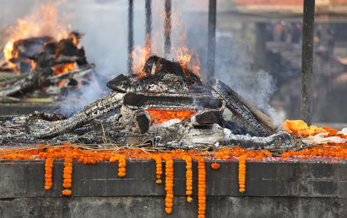Civic authorities plan Modern Animal Crematorium set up in Panvel