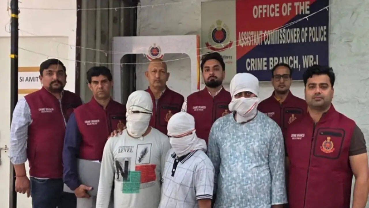 48 hours, 1k teams, 482 arrests: Delhi police nabs suspects linked to criminal gangs in India, Pakistan