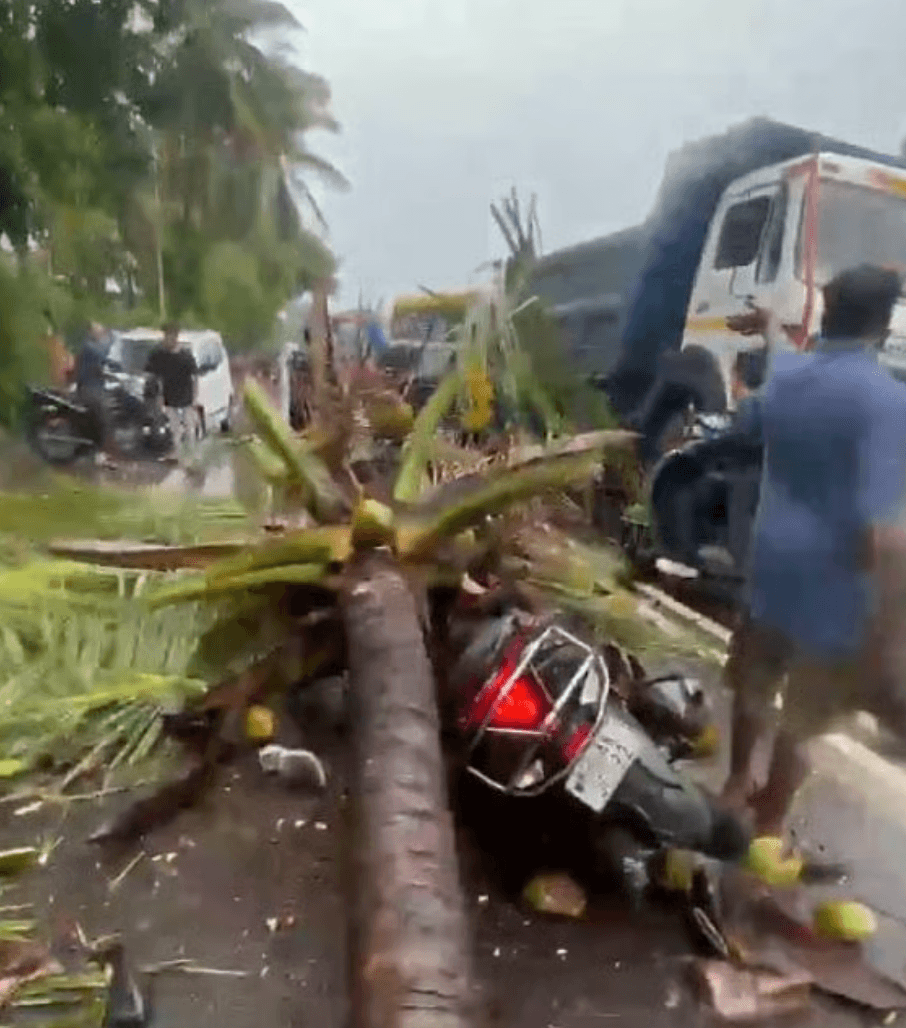 Former Mira-Bhayandar Deputy Mayor's Son Dies After Coconut Tree Falls During Heavy Rain