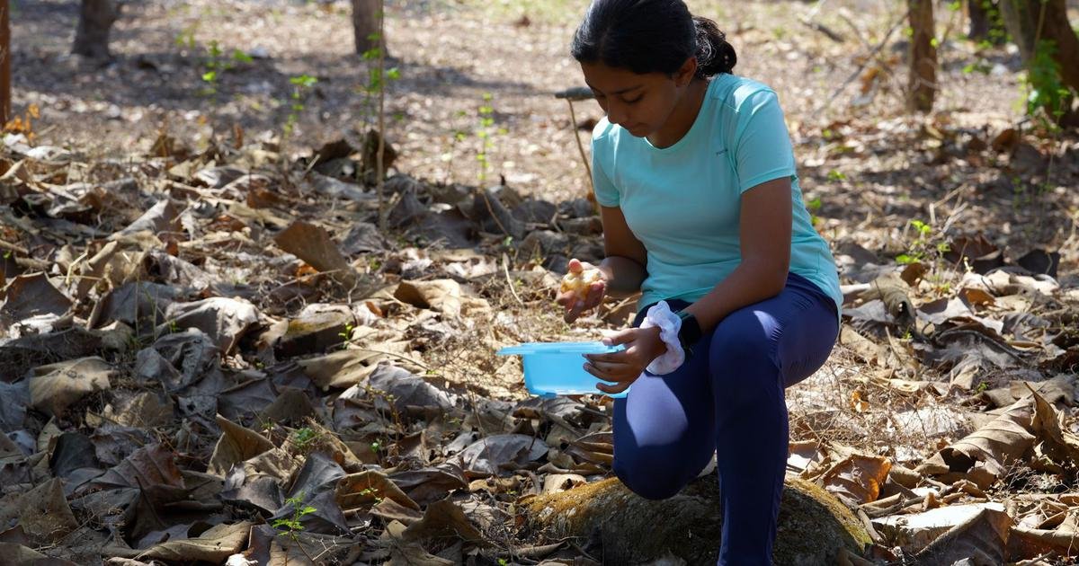 Eco India, Episode 321: Why real-world lessons are a must for effective environmental education