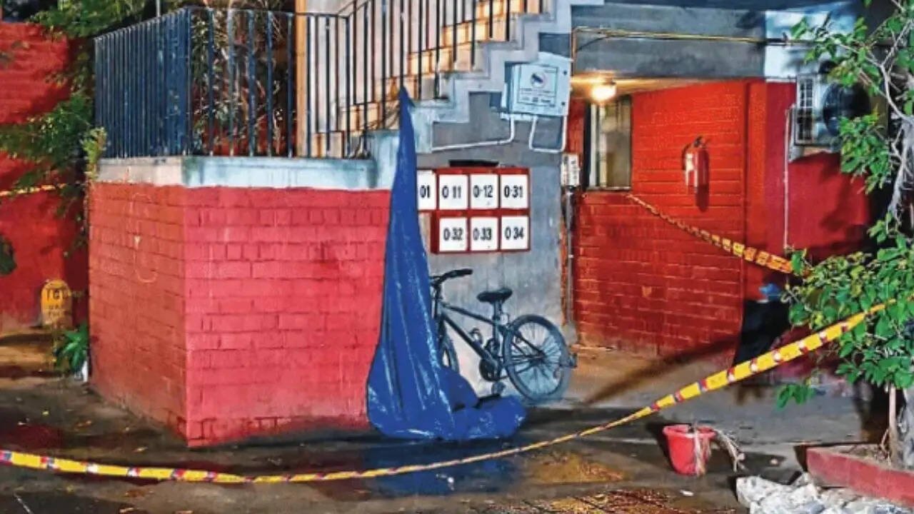 Father-son duo stabbed to death in south Delhi, accused detained