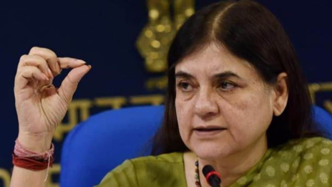 Maneka Gandhi says Supreme Court 'has done nothing', stray dogs order draws criticism from activists