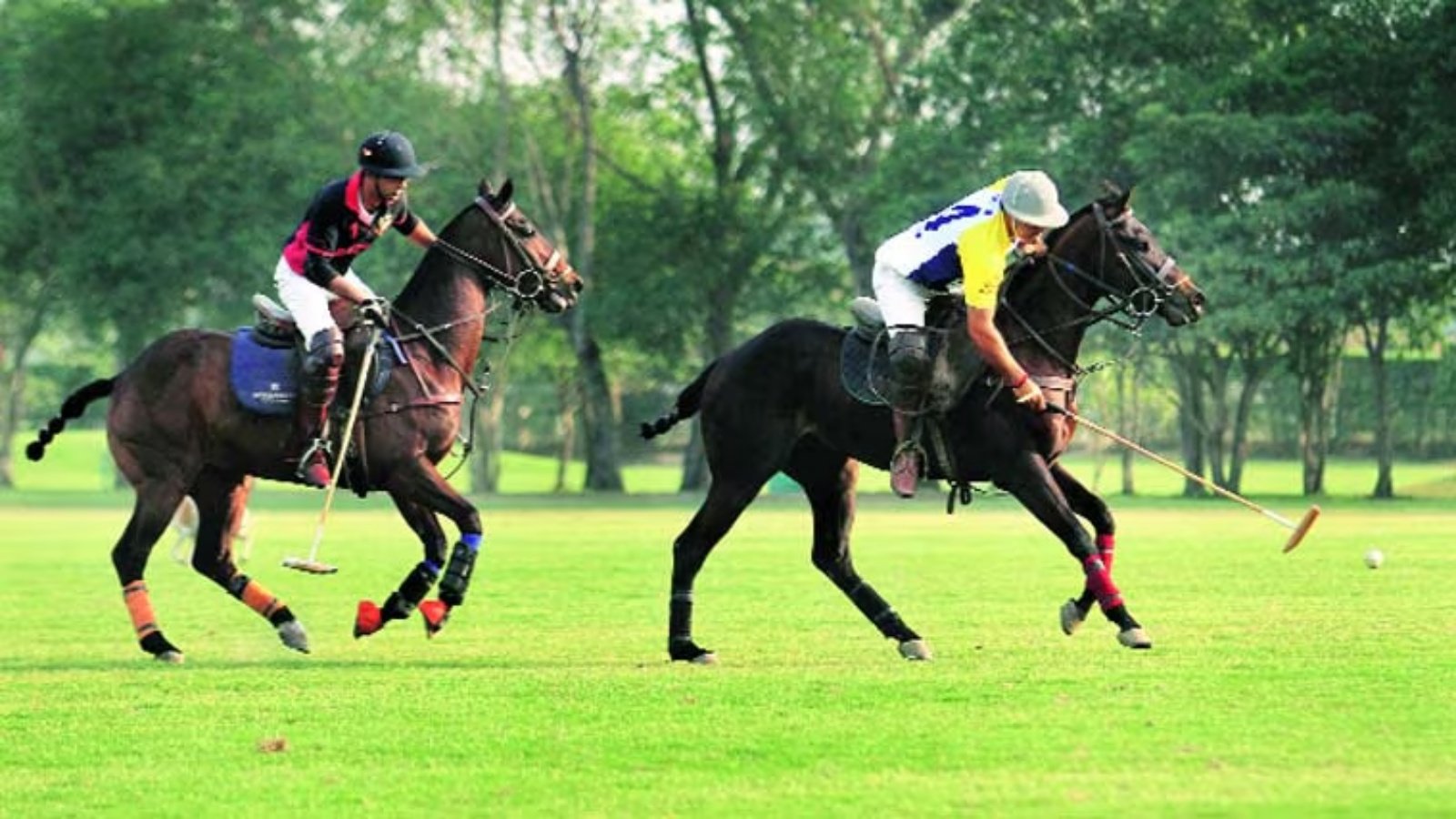 No interim relief for Indian Polo Association, Government keeps possession of the ground