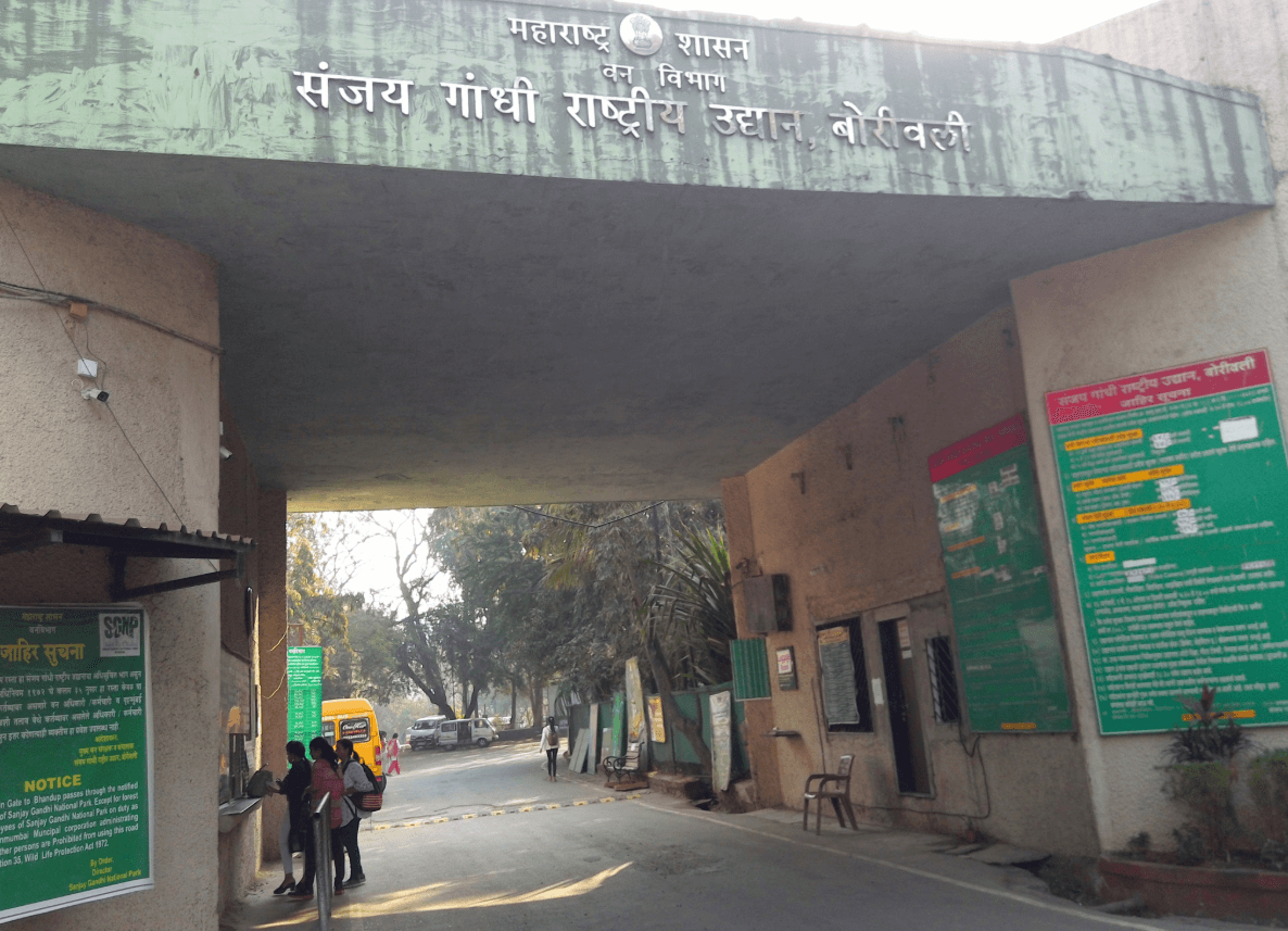 Mumbai: Environmentalists Oppose Proposal to Rename SGNP and Construct University Campus