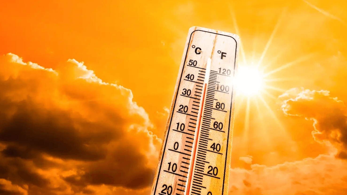 IMD Issues Heatwave Alert For Mumbai, Thane, Palghar On May 15