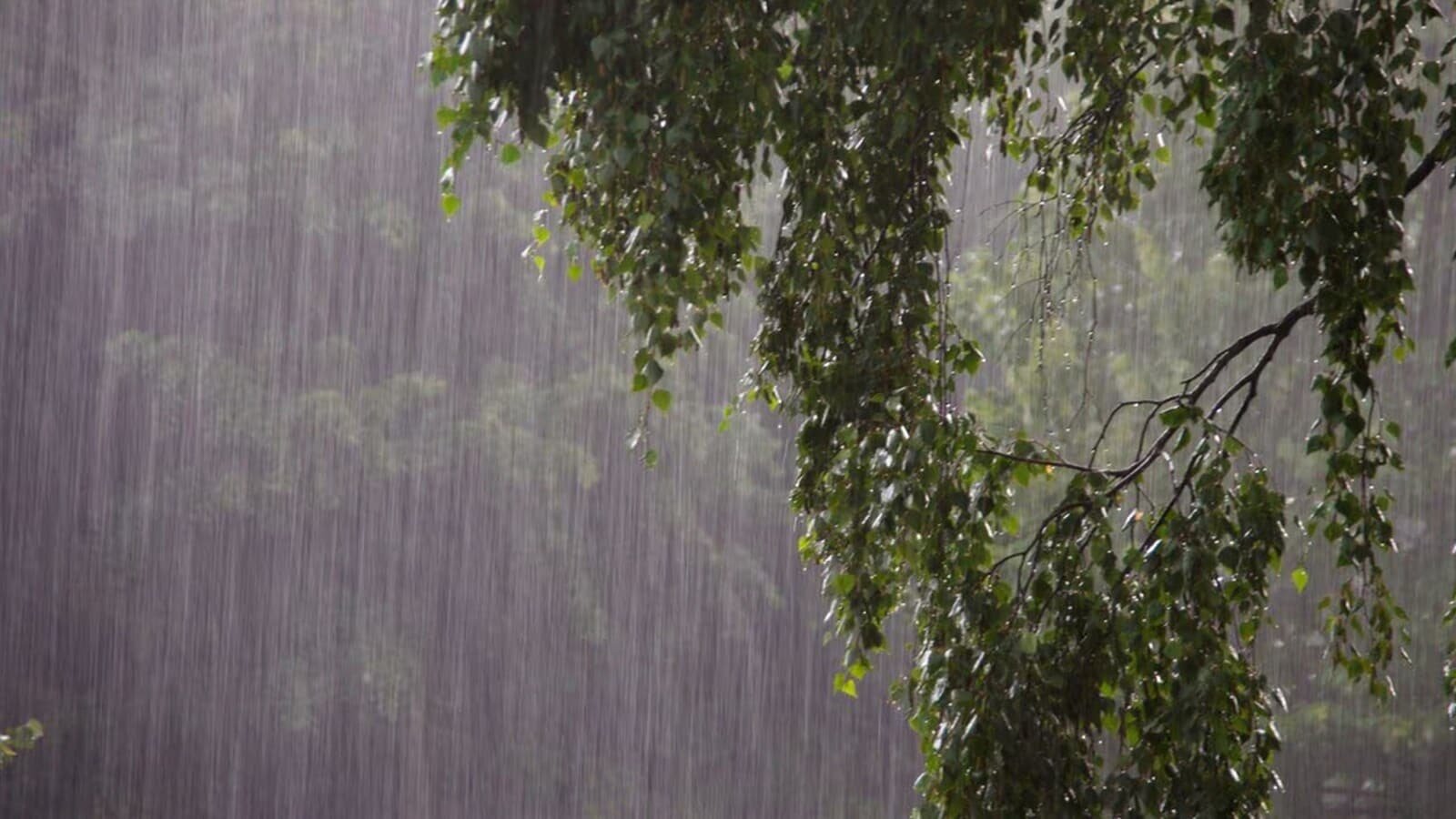 Monsoon gathers pace; Delhi may see showers, Goa on heavy rain watch