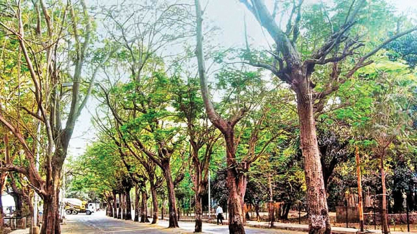 Retired SC Judge Abhay Oka Raises Concerns Over Felling of 3,000 Trees for Thane Metro