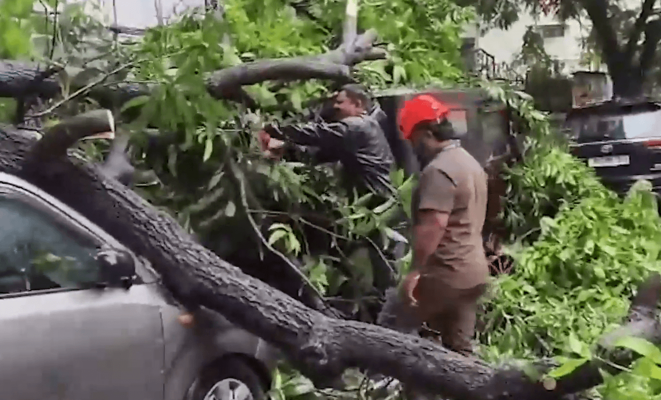 Fallen Trees, Wall Collapse and Waterlogged Roads: Heavy Overnight Rain Leaves Mumbai Reeling