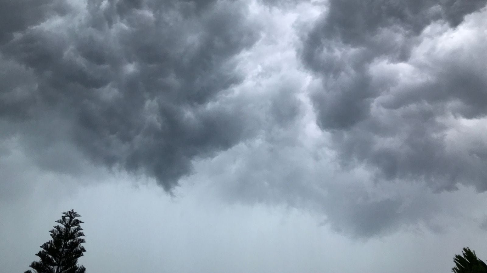 Delhi weather today: City finally gets a rain break, cool winds. Here’s how long it will last