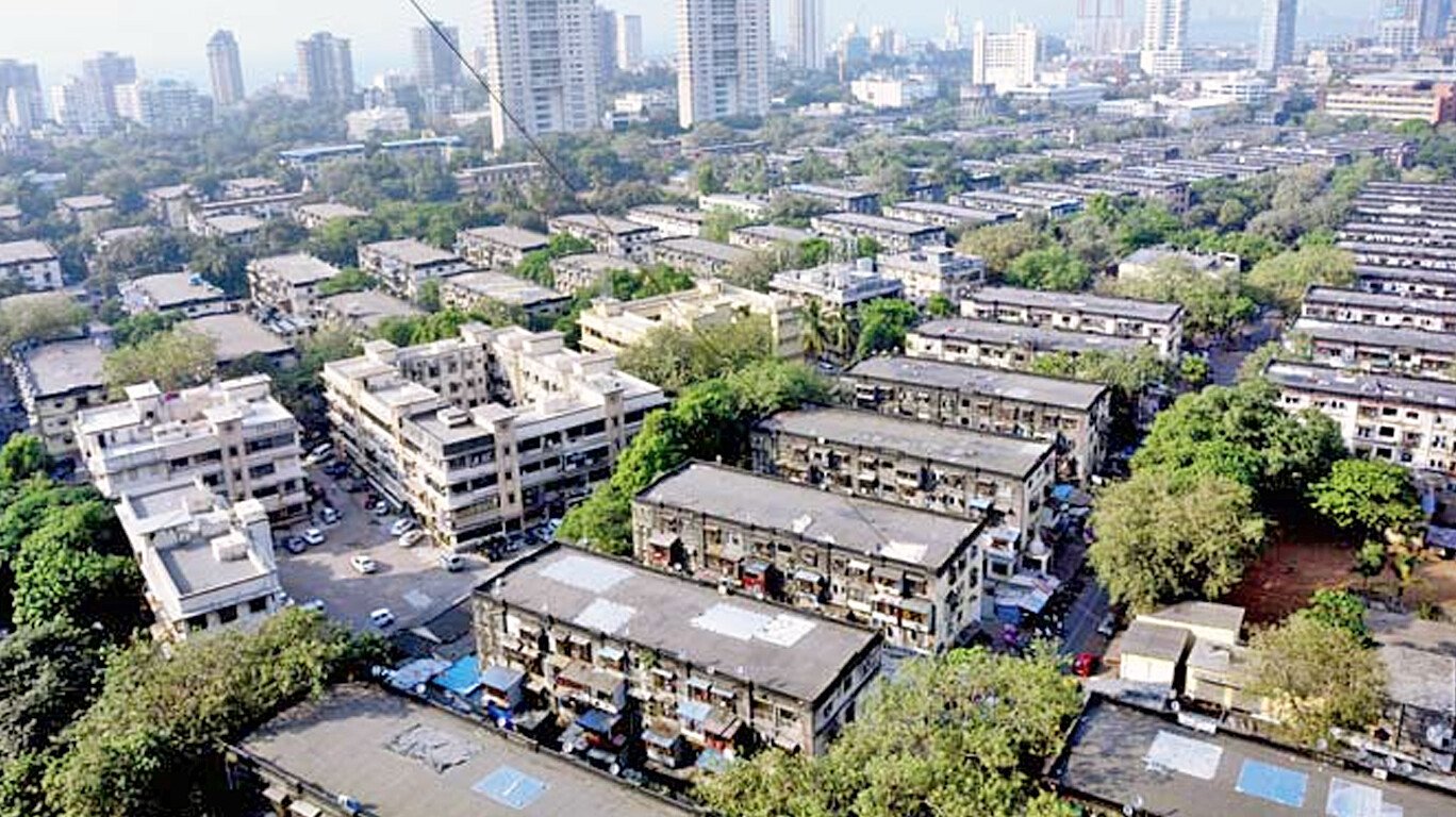 Mumbai Tree Plantation Drive: BMC Calls for 1 Tree in Every Housing Society to Offset Green Cover Loss